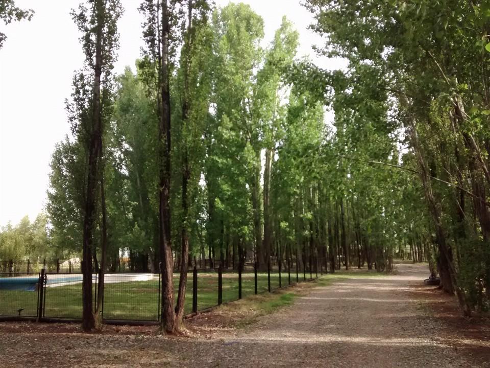 Terrazas En El Bosque Cabañas Malargüe Exterior foto