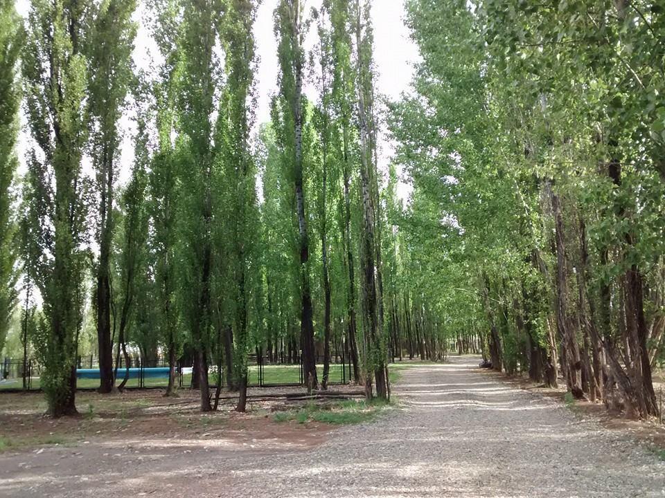 Terrazas En El Bosque Cabañas Malargüe Exterior foto
